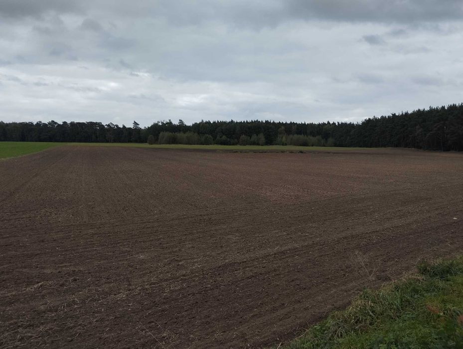 Sprzedam grunty, Gmina Czarnków.