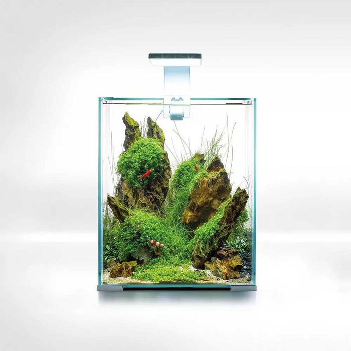 Krewetkarium aquael 20 białe NOWE
