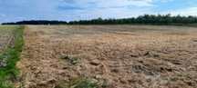 Działka Budowlana / 0,8ha / MPZP / Bezpośrednio