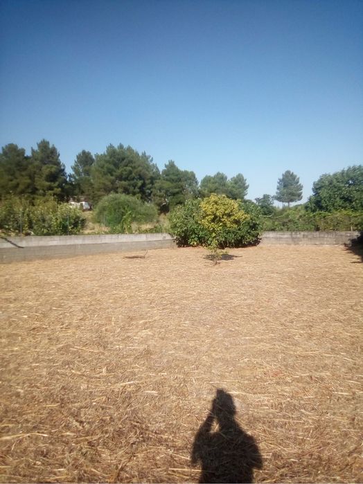 Terreno murado aldeia orca