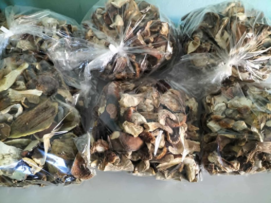 Suszone prawdziwki borowiki grzyby