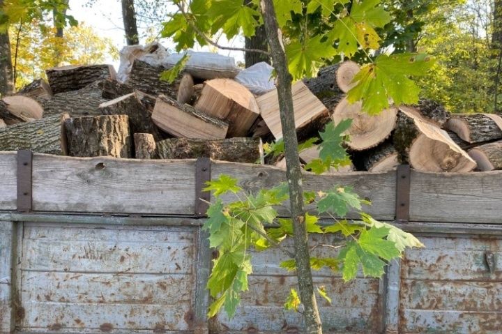 Продам дрова дуб граб ясен сосна