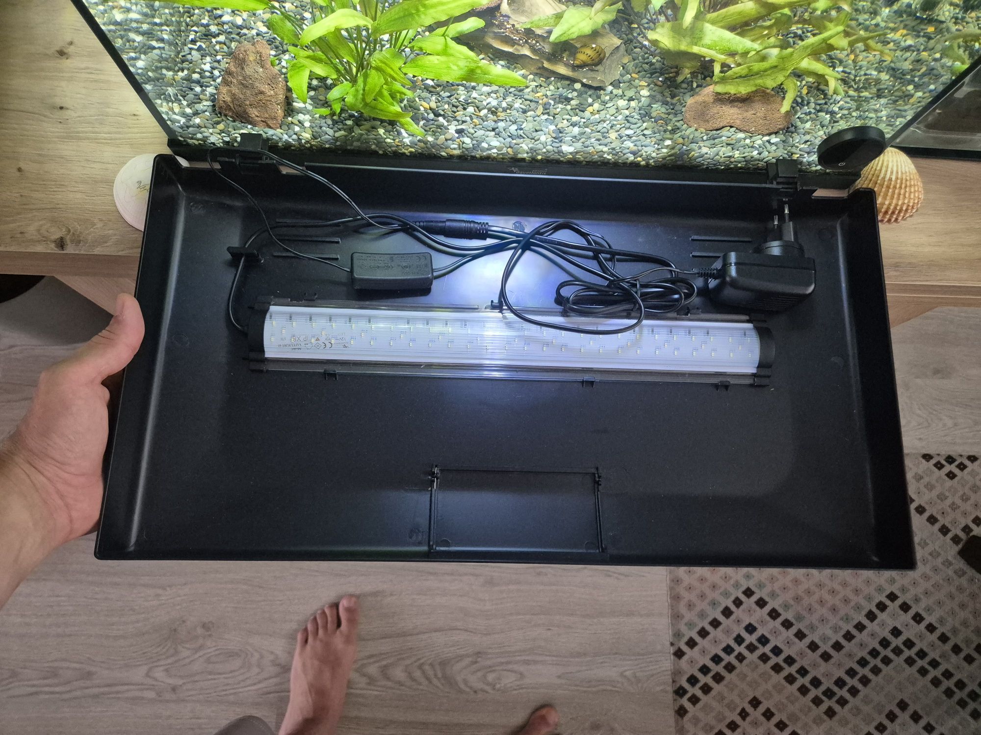 Aquário 60 L Completo