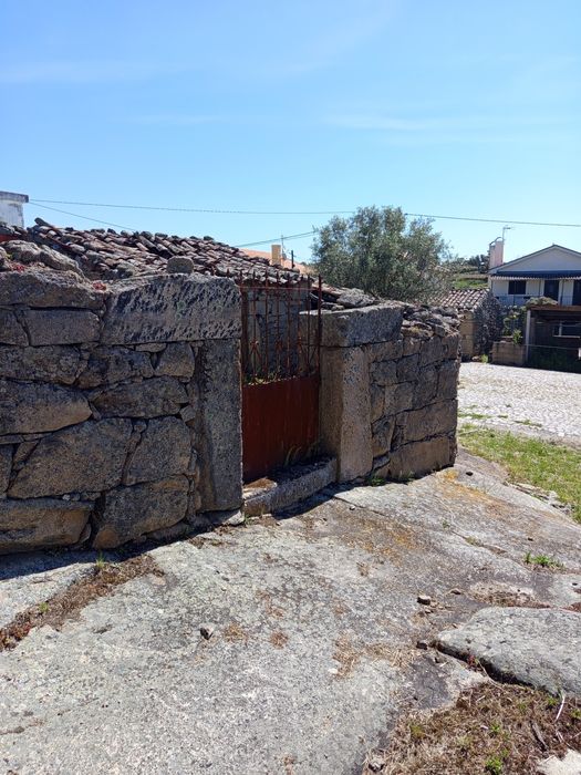 Vendo uma ruína em estevais da Vilariça