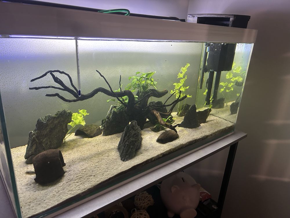 Aquario aprox. 200lt