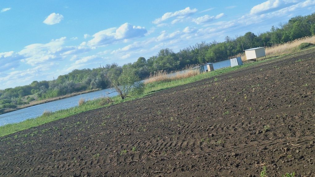 Продаж житлового будинку на березі ставка.