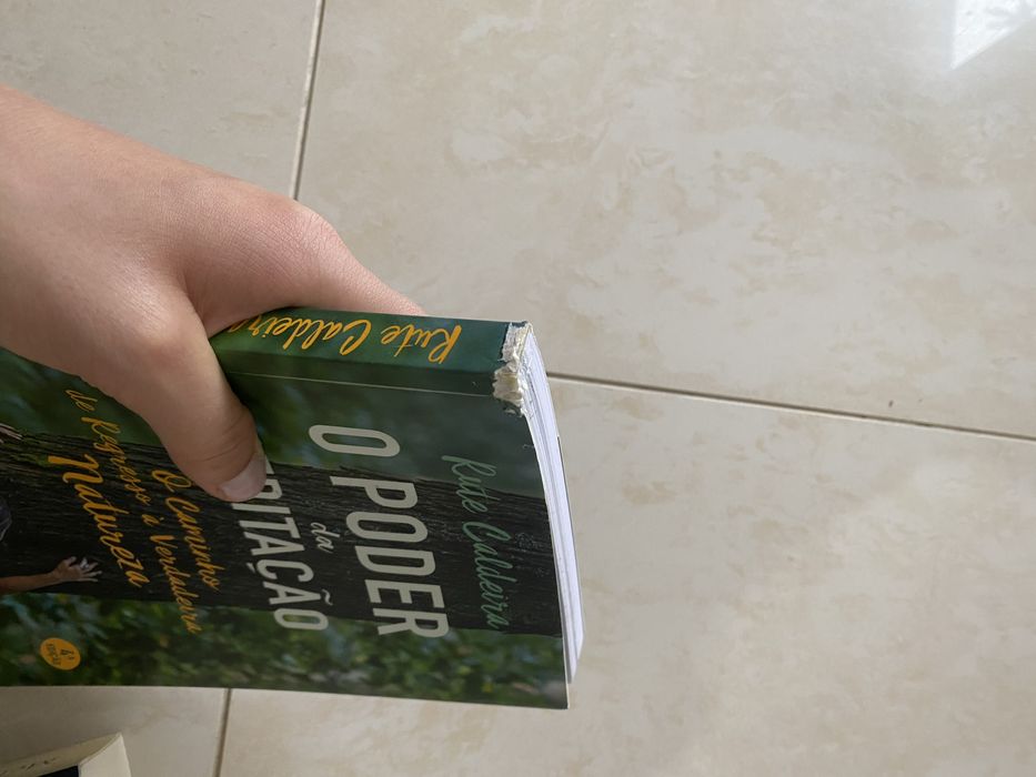 Livro “O poder da meditação” de Rute Caldeira