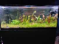 Akwarium 300l zestaw cały z CO2