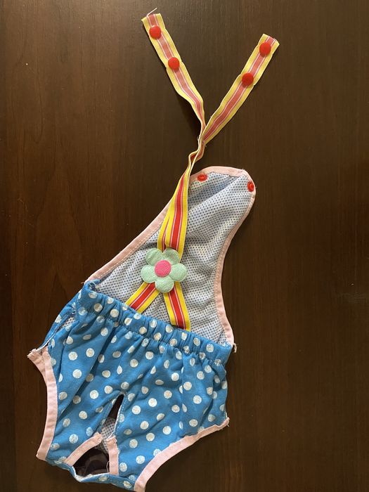 Трусики для собак