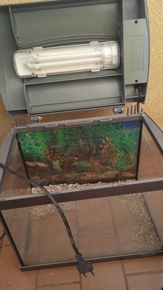 2 Aquários ,Urgente.Para Desocupar