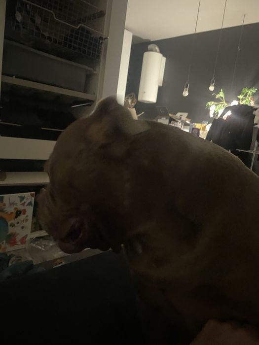 Honda Accord VII Kombi 2.0 Automat LPG • Silnik K20Z2 (150 tys. km)