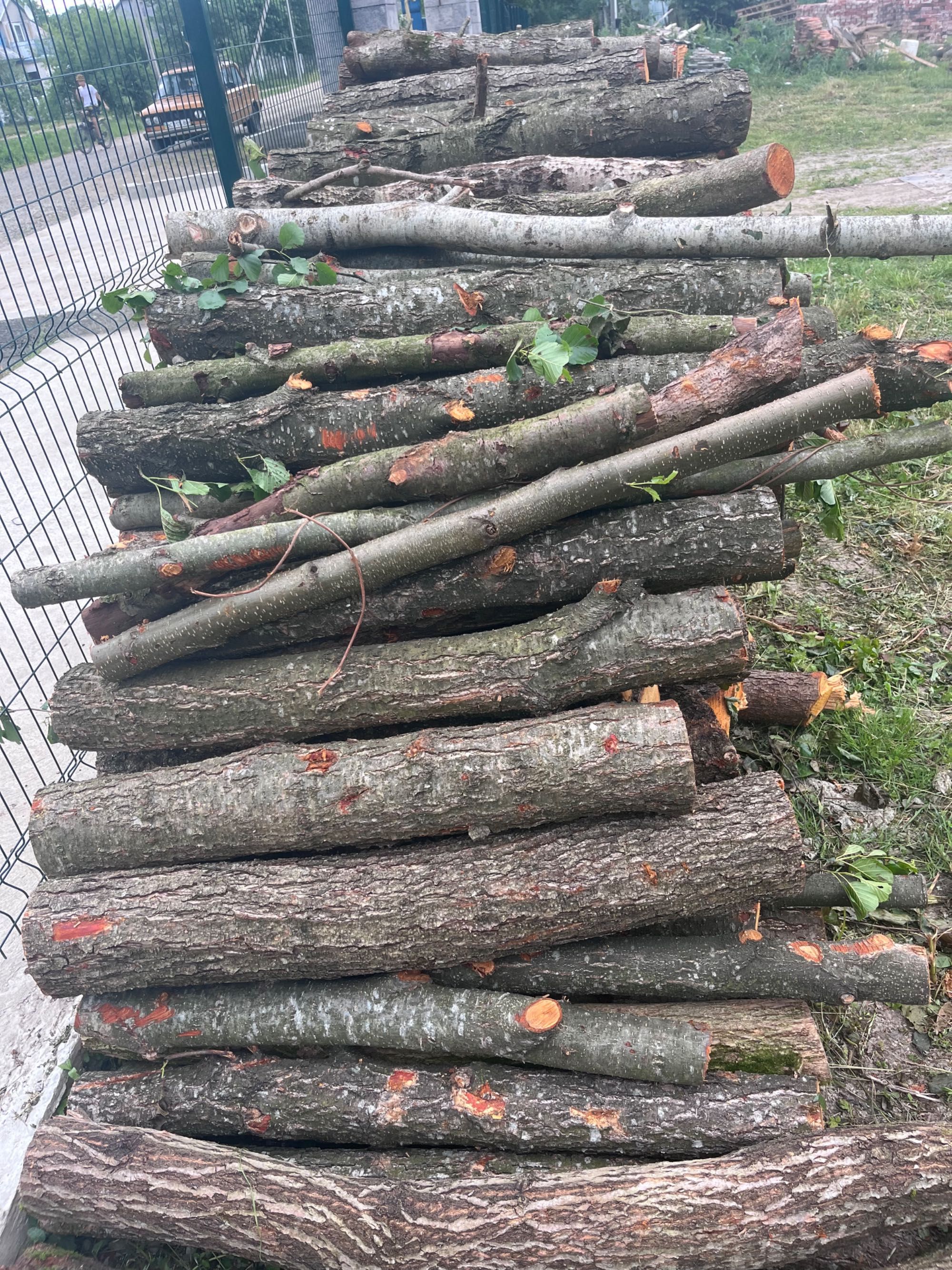 Дрова Лісництво Розділ 1500