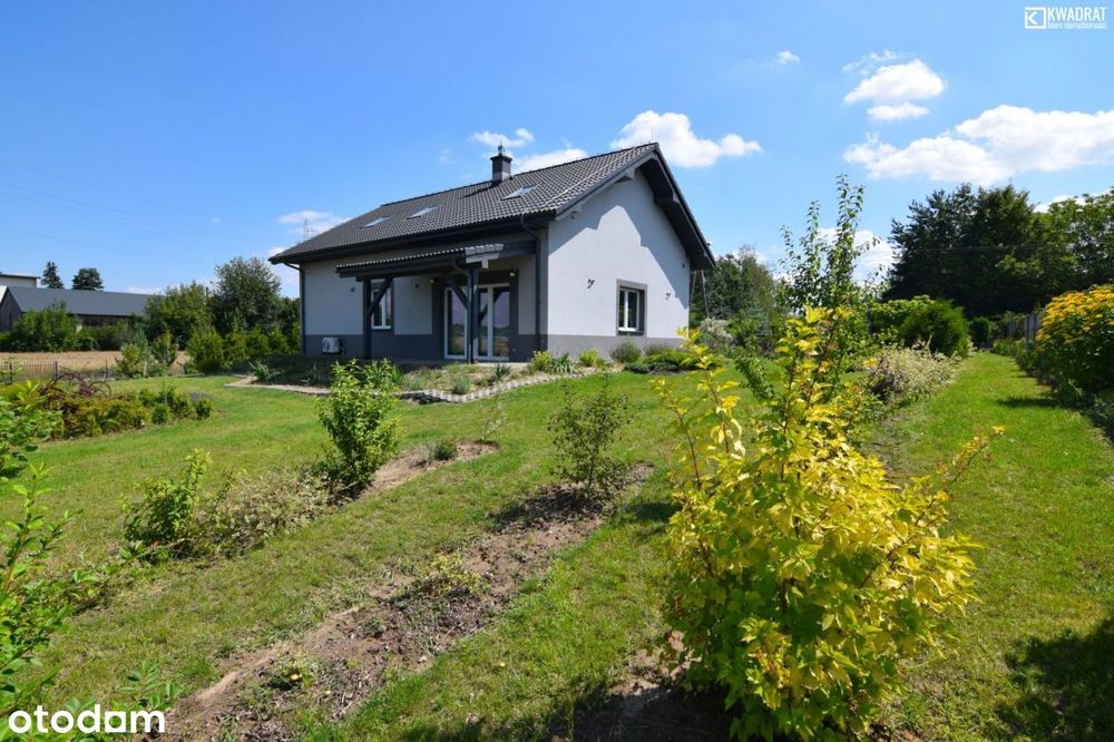 Spiczyn - funkcjonalny dom z działką 20 ar