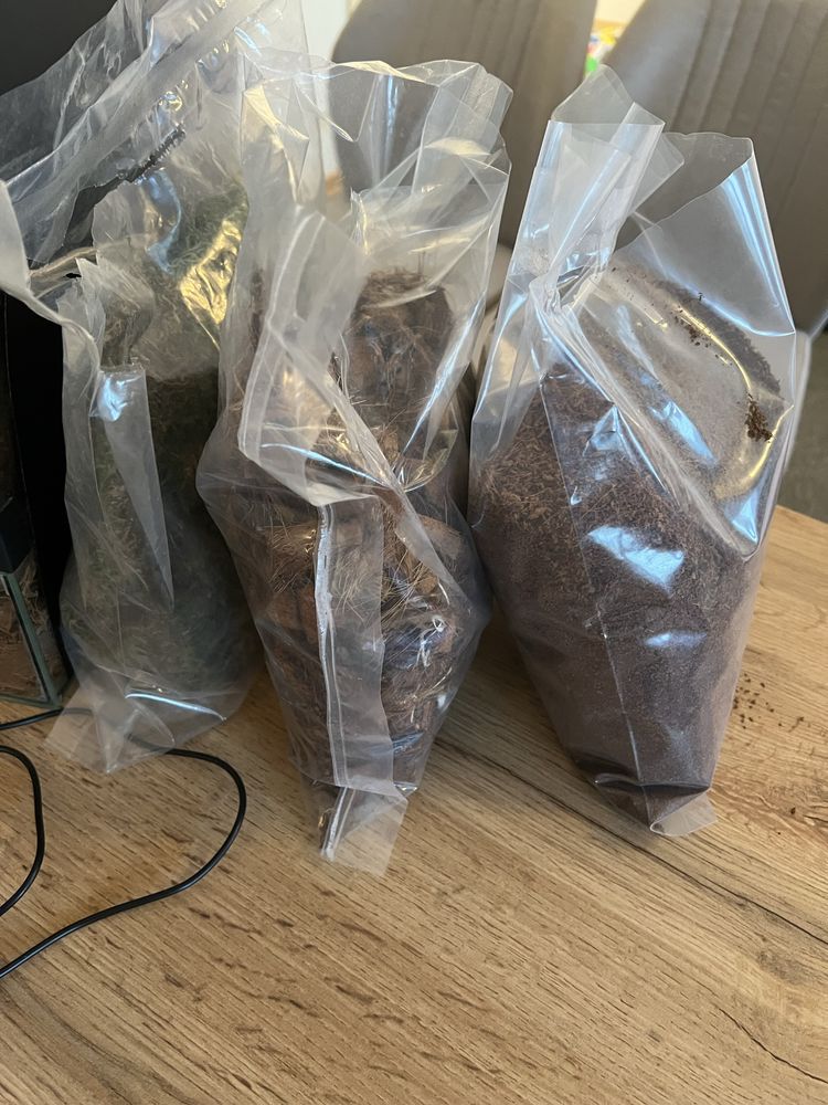 Terrarium 30х30х40 + komplet wszystkiego, do opieki nad jaszczurką