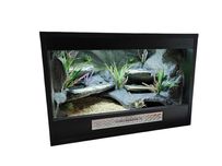 Terrarium pustynne nr740 60/40/40 dla gekona lamparciego DOSTĘPNE