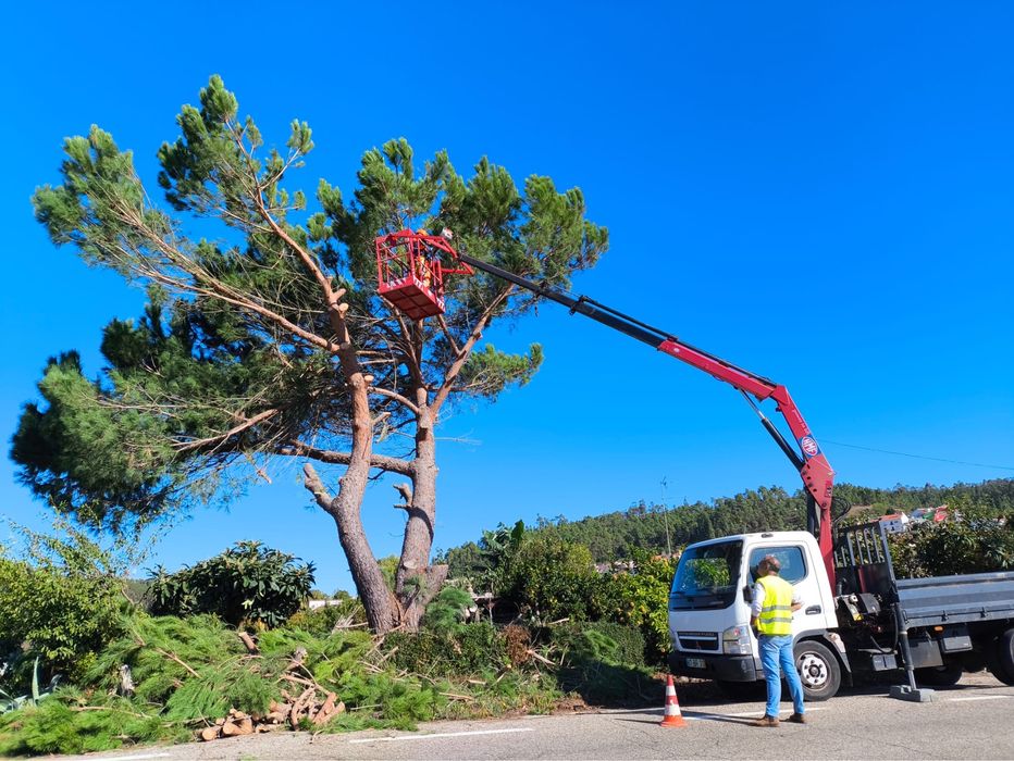 Manutenção de espaços verdes, jardinagem e limpeza de terrenos