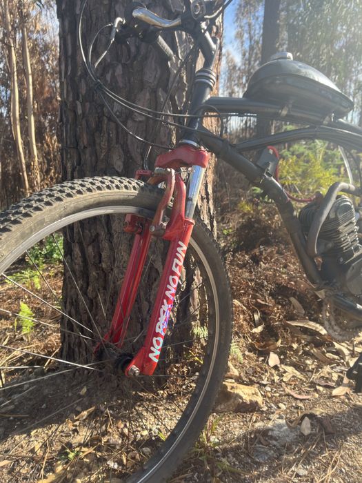 Bicicleta motorizada