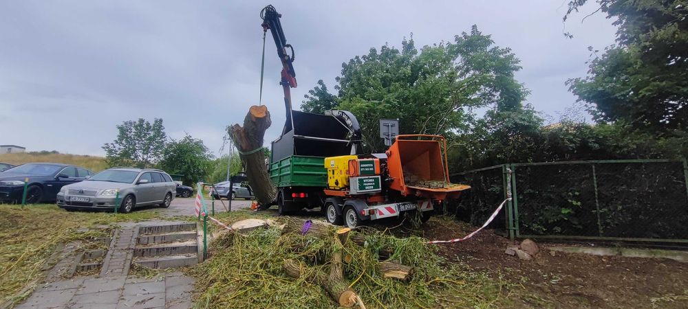 Wycinka drzew, wywóz zagrożeń drzewostanu Wywrót, wywrot,