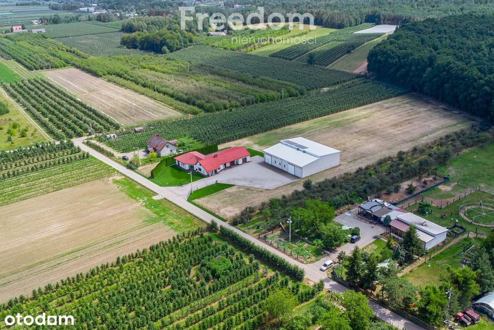 Gospodarstwo z eleganckim domem, halą i maszynami
