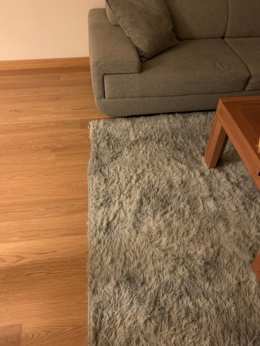 Carpete cinza claro em muito bom rstado