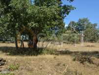 Terreno Casal Cinza
