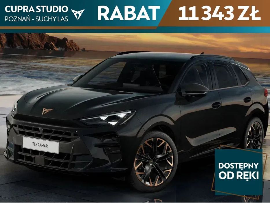 Cupra Terramar VZ 2.0 TSI 265 KM DSG 4Drive