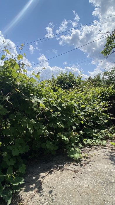 Продажа Дом г.Обухов центр - Киев 30км