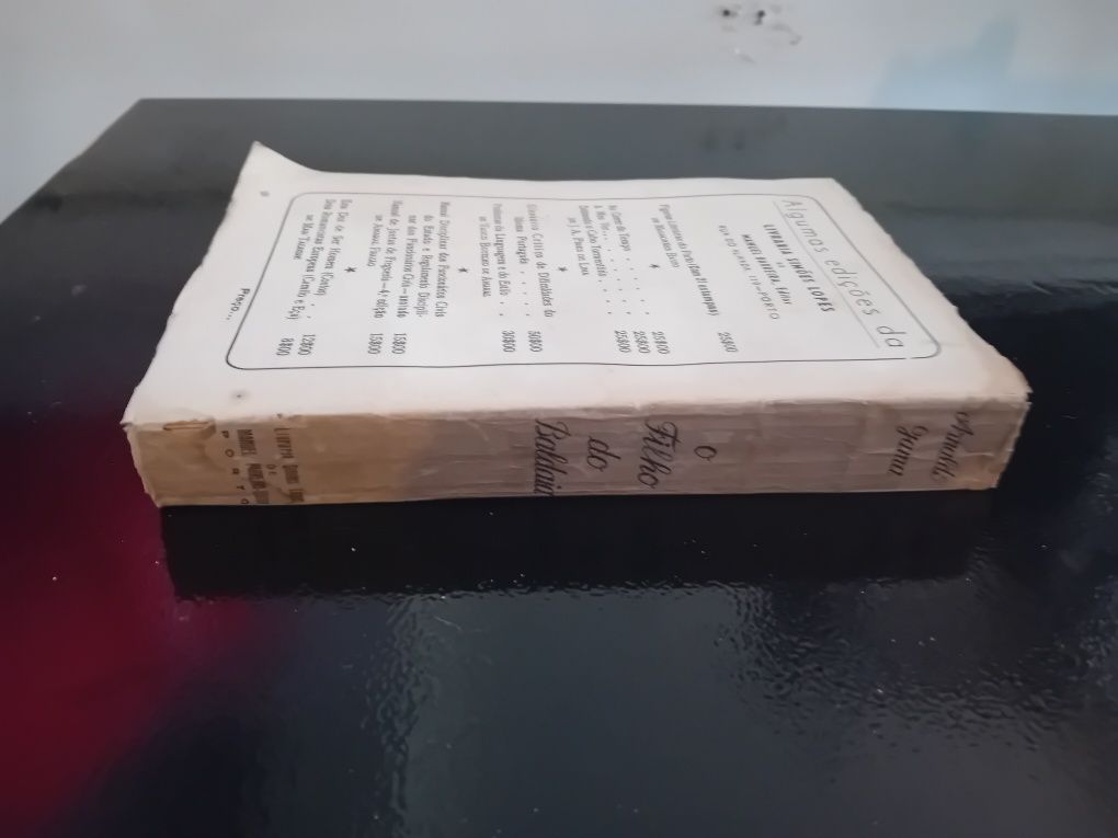 Livro: o filho de Baldaia
