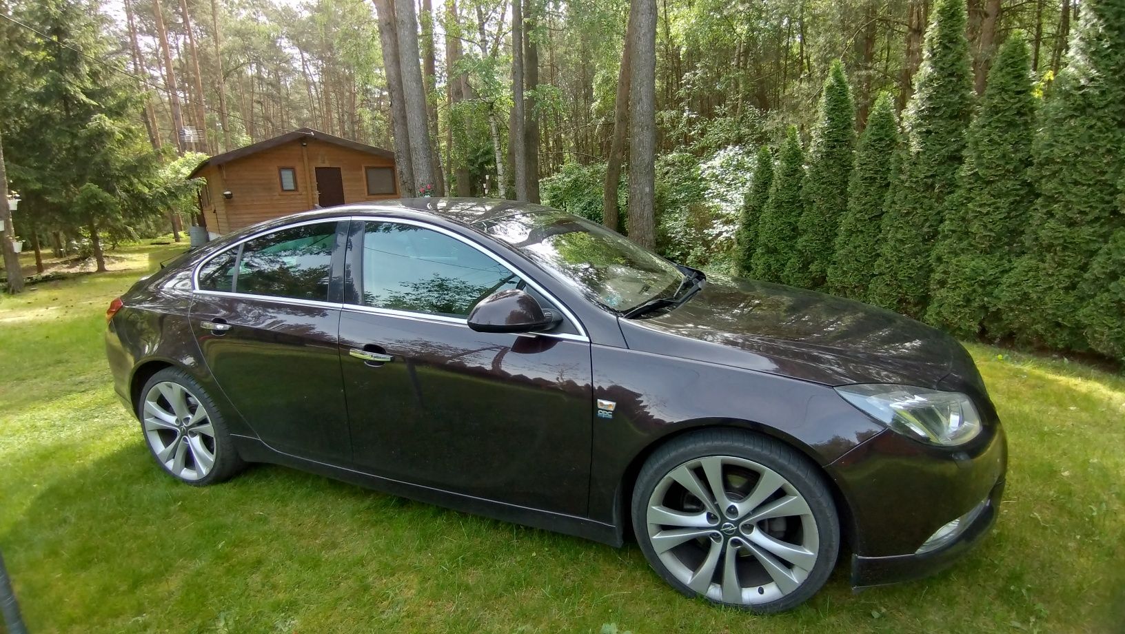 Opel Insignia 2.0 Turbo 2011 rok