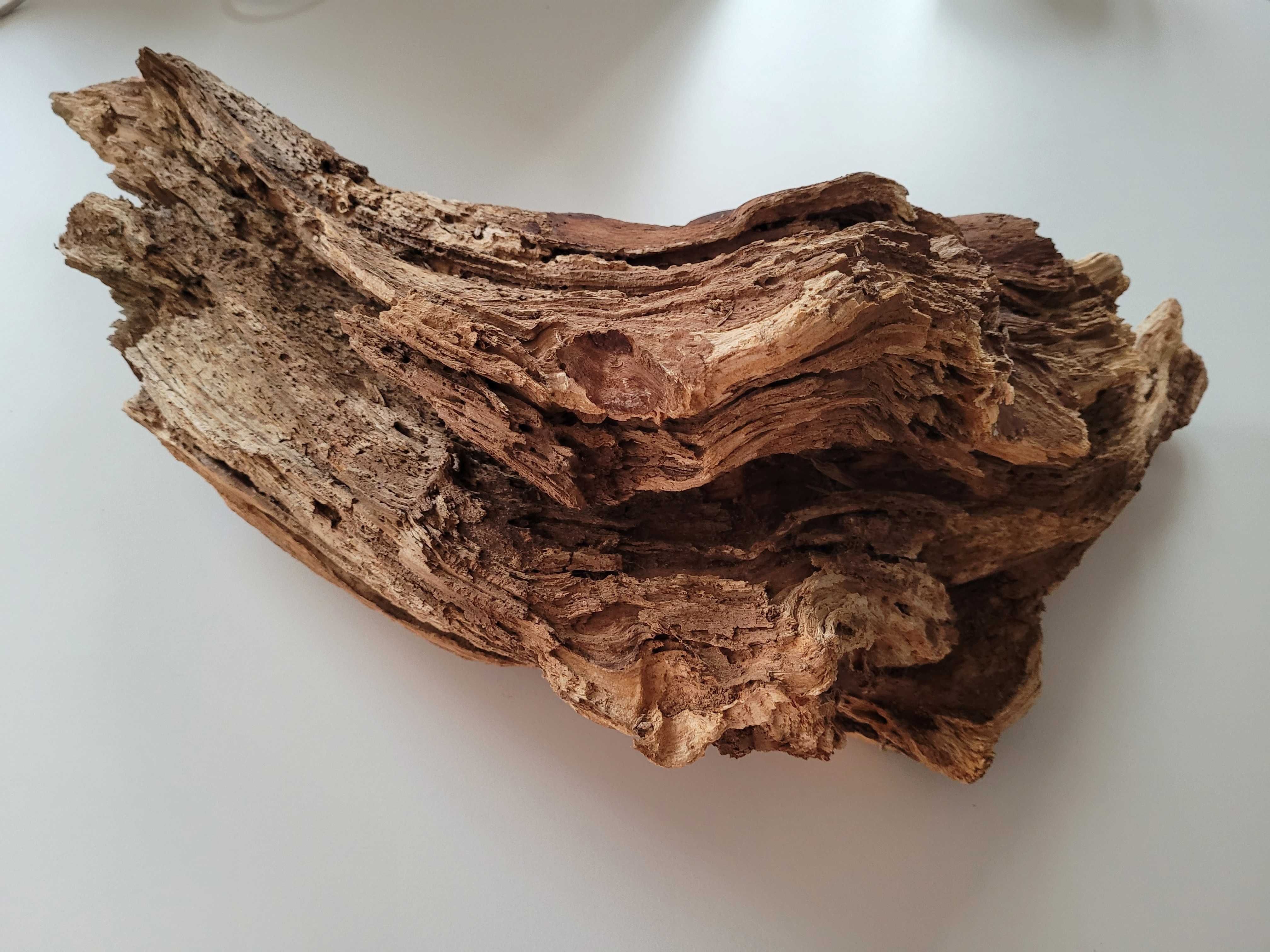 duży korzeń naturalny do akwarium terrarium dł. 55 cm ze szczeliną