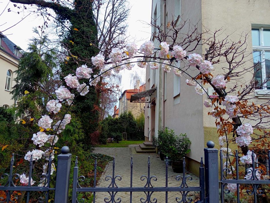Mieszkanie Wrzeszcz odświeżoneobok lasu Politechniki FILM bezpośrednio