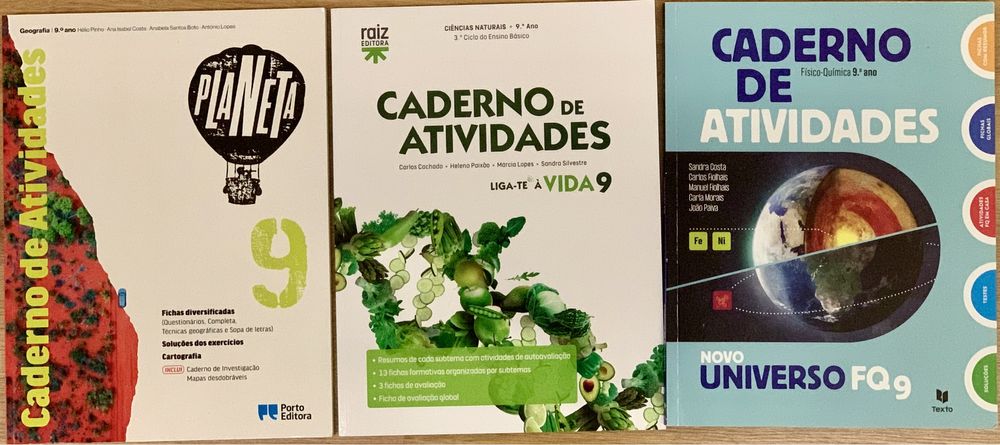 Cadernos de actividades 9 ano