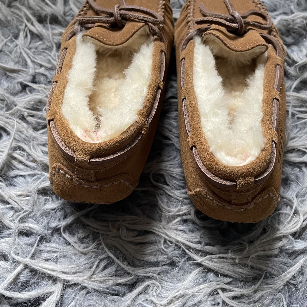 Buty Dakota Camel UGG Australia [34]