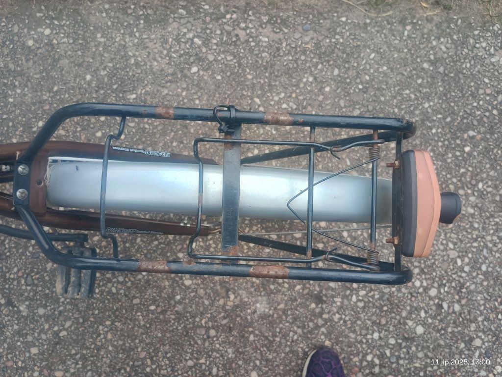 Rower damski Burghardt