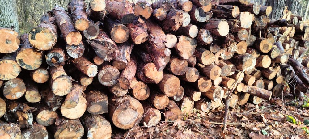 Drewno Drzewo sosnowe (metrowki)