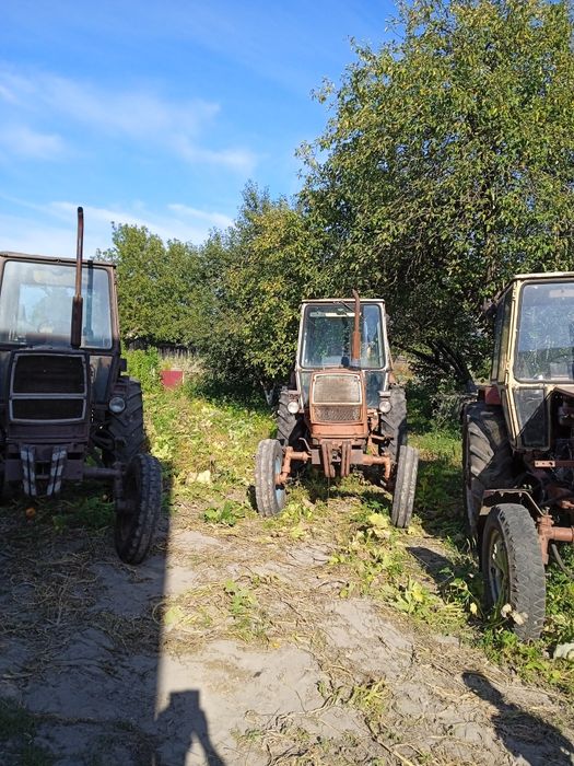 Продам трактор ЮМЗ.