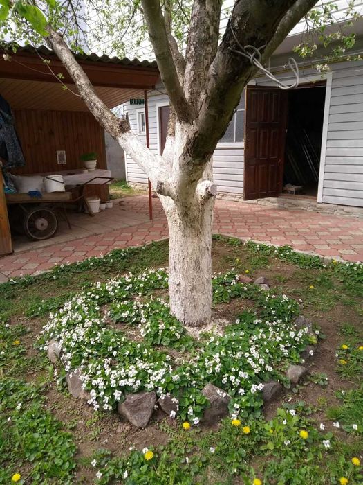 Приватний будинок з усіма зручностями