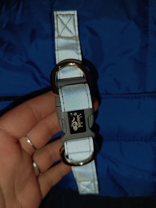 Комбінезон для собак