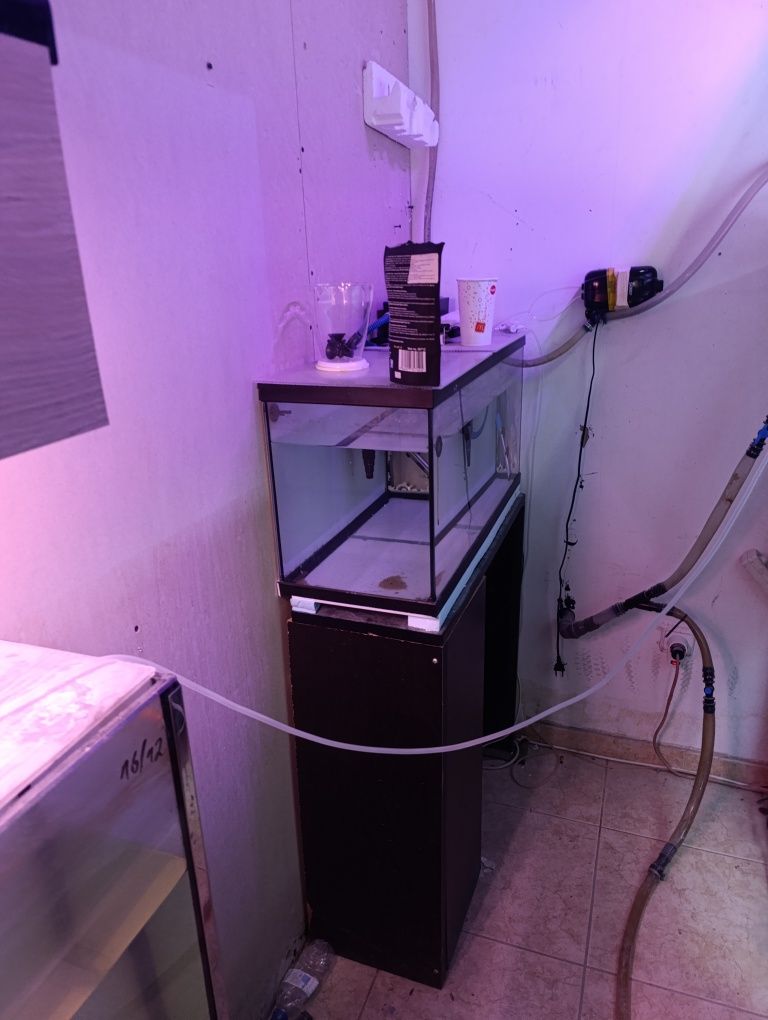 Aquários e material de aquariofilia