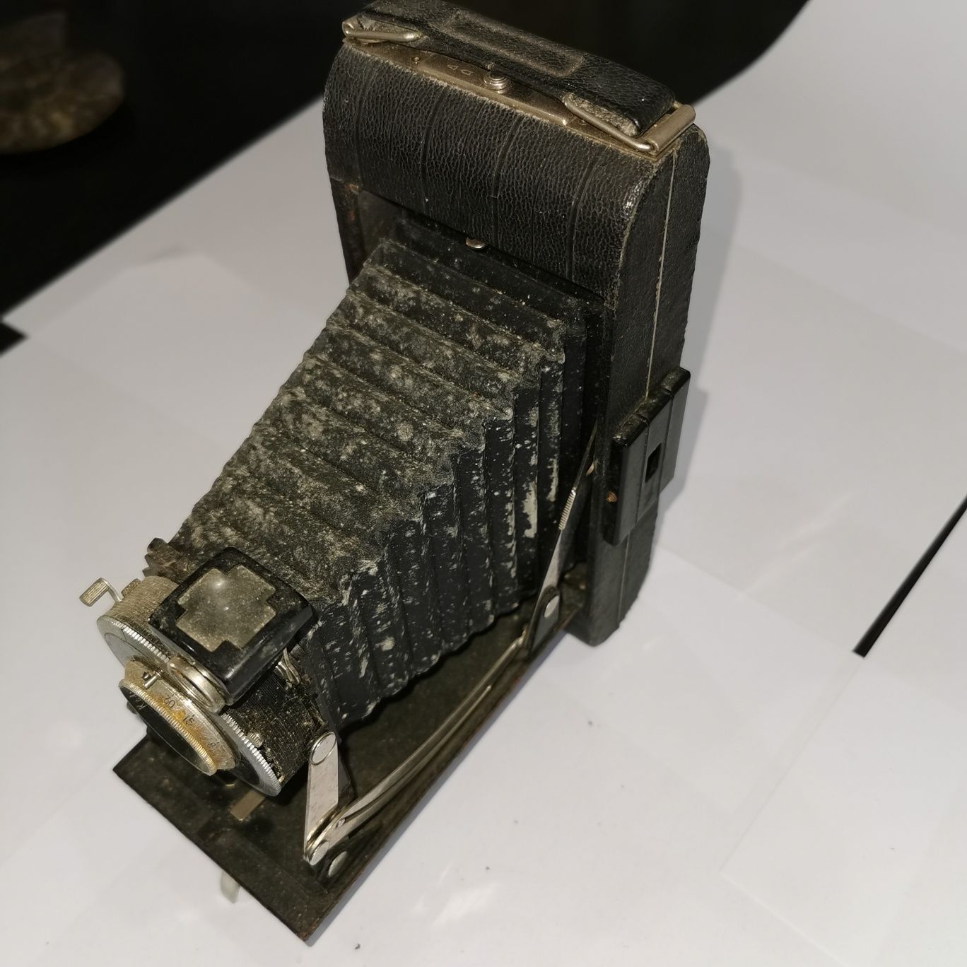 Kodak máquina de fole.