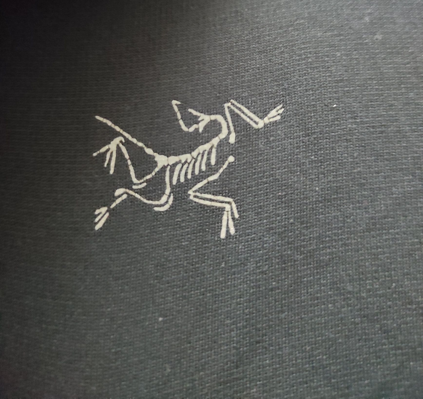 L Arcteryx оригінальна чоловіча футболка