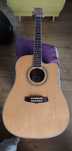 Gitara elektroakustyczna Tanglewood DBT DLX D CE NG