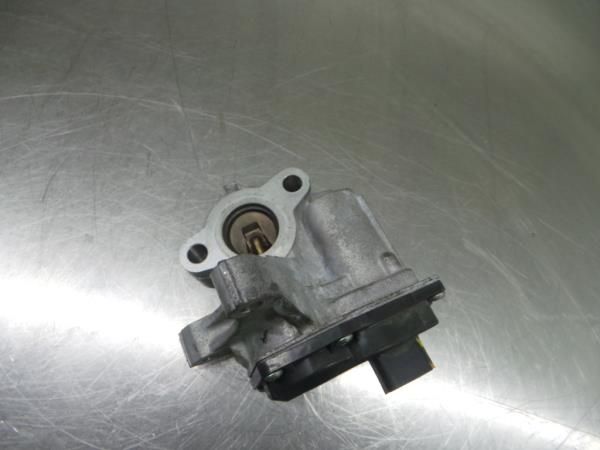 Válvula EGR NISSAN Qashqai II (J11)