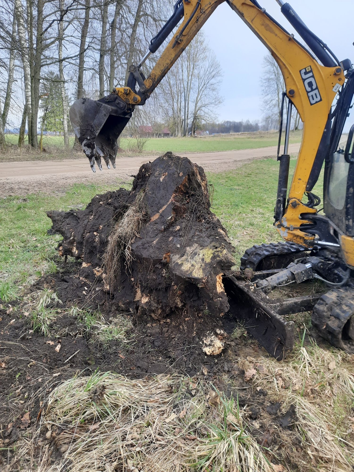 Usługi Minikoparką cat jcb