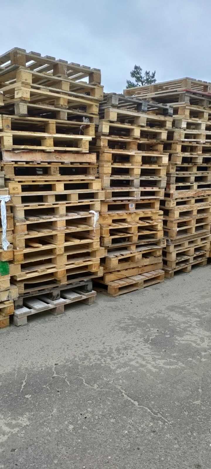 Піддони дерев'яні та пластикові. Поддоны деревянные.