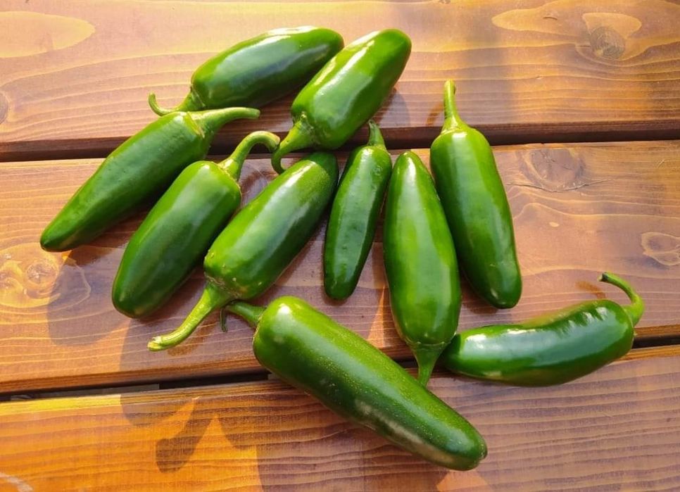 Papryka Jalapeno z wlasnej uprawy 1kg