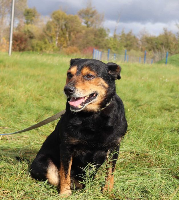 Atom – kochany senior pełen radości