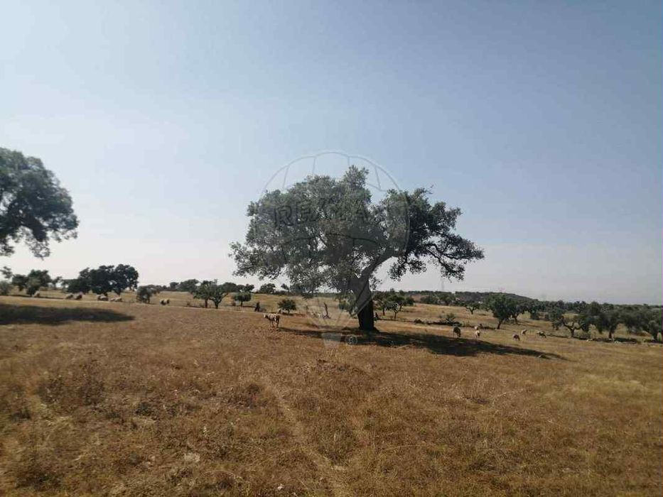 Terreno Rústico com área de 22.000m2 (2,2 ha)