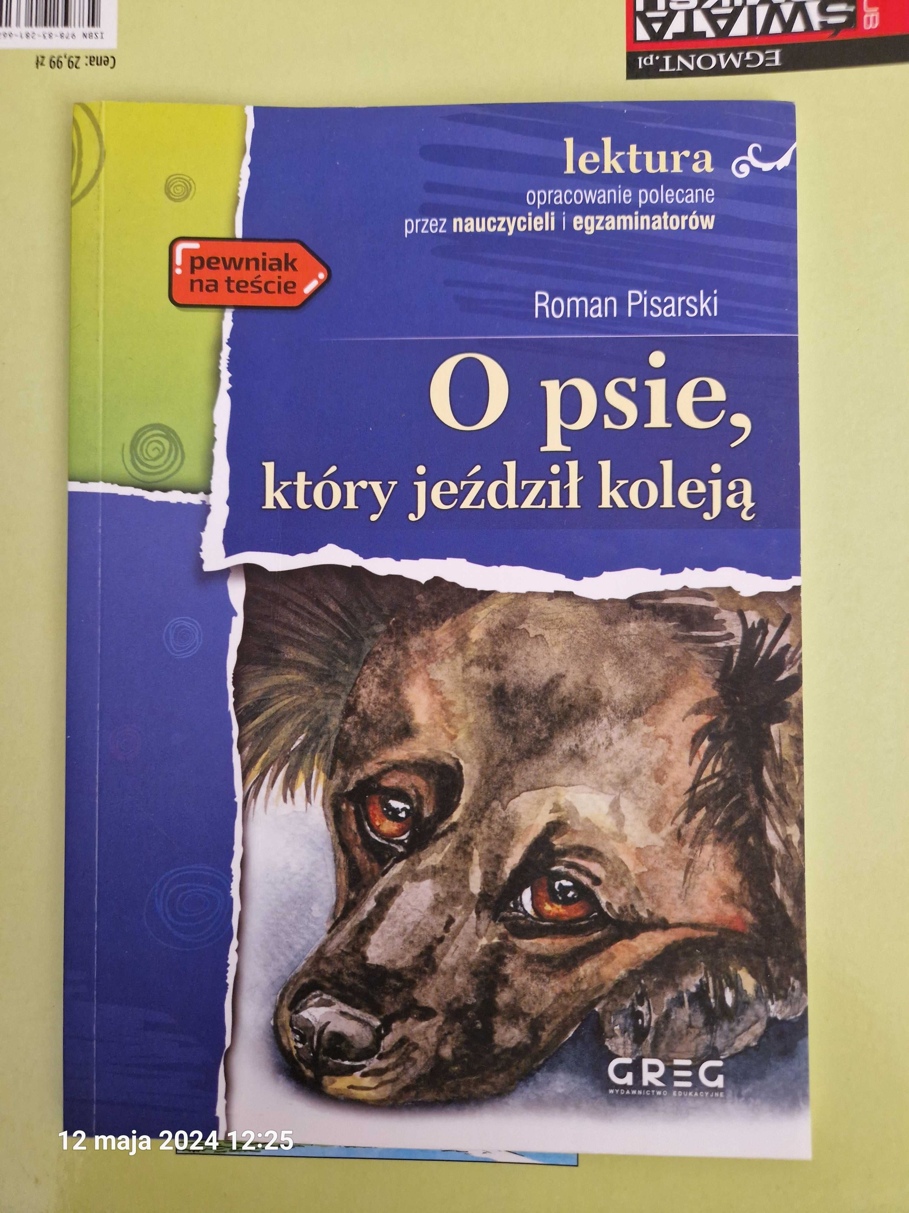 Książki dziecięce lektura 4 klasa