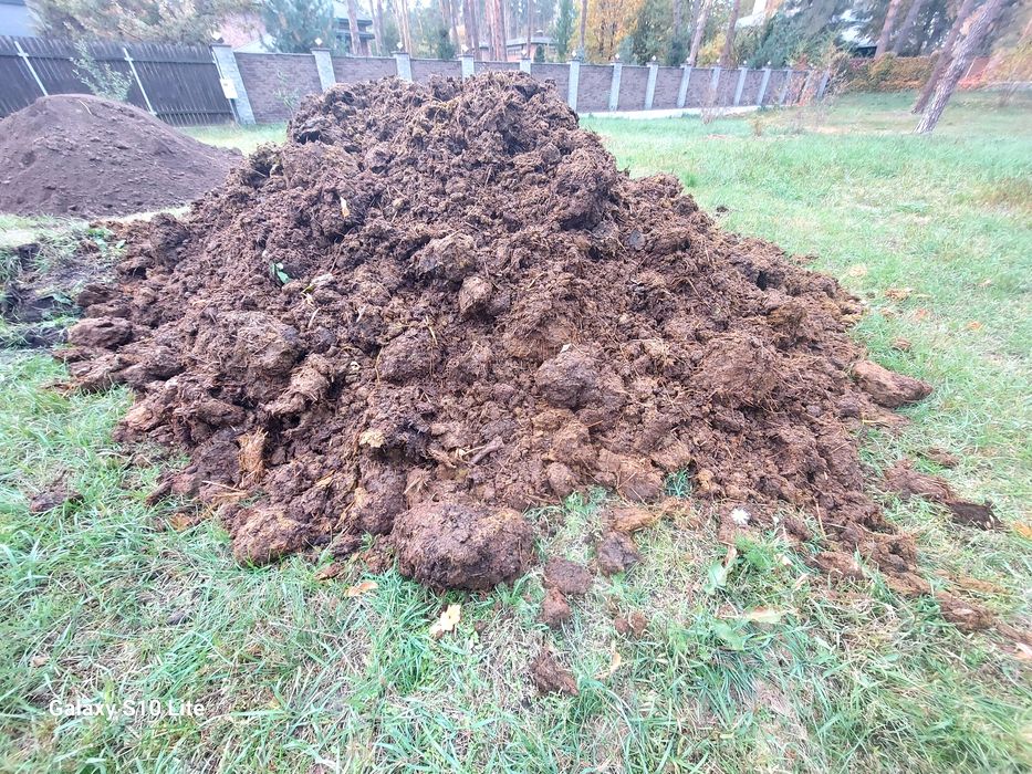 Перегній коров'ячий